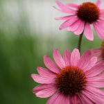 国产日韩新片无码 uj1tf