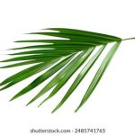 Yandex引擎入口:探索俄罗斯搜索引擎的强大功能与应用 opk56vwhv